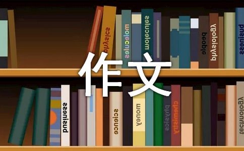 绳梯训练篮球_2